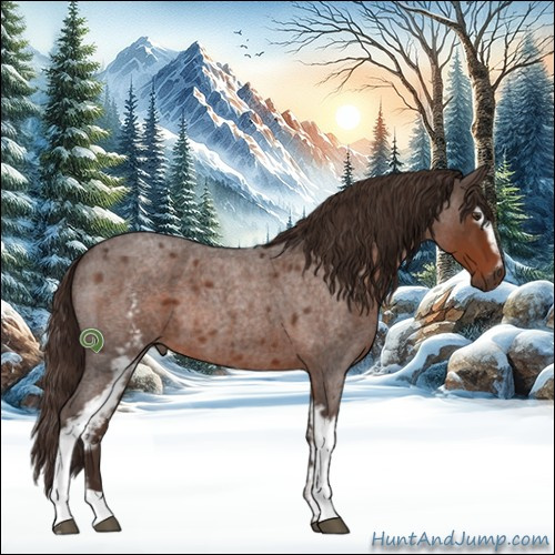 Horse Color:White Spotted Liver Red Roan 