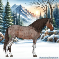 Horse Color:White Spotted Liver Red Roan 
