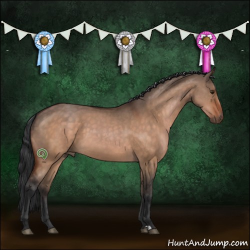 Horse Color:Brown Dun 