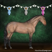 Horse Color:Brown Dun 