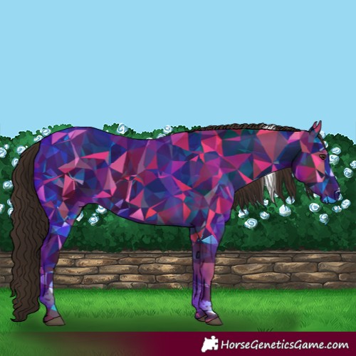 Horse Color:Liver Chestnut Tobiano 