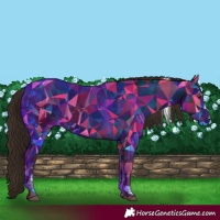 Horse Color:Liver Chestnut Tobiano 