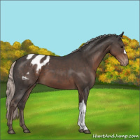 Horse Color:Silver Black Blanket 