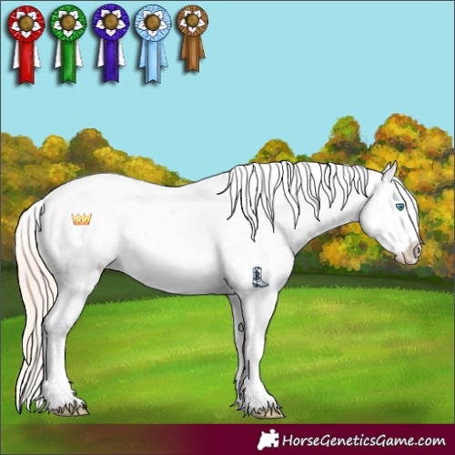 Horse Color:Perlino Dun Sabino Blanket 