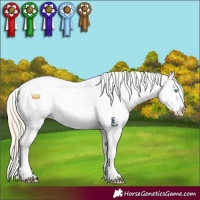 Horse Color:Perlino Dun Sabino Blanket 