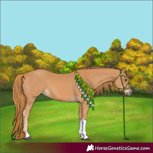 Horse Color:Chestnut Tobiano 