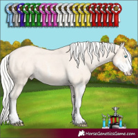 Horse Color:Silver Perlino Sabino Varnish 
