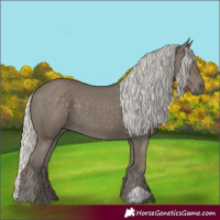 Horse Color:Silver Smoky Black 