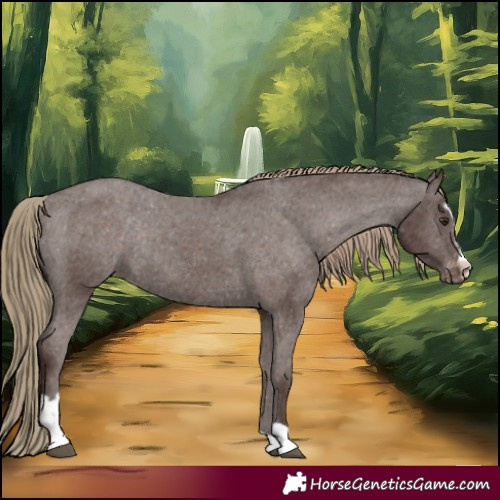 Horse Color:Liver Chestnut Sabino Appaloosa Rabicano 