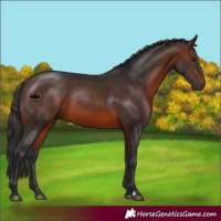 Horse Color:Brown 