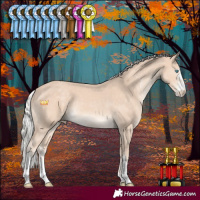 Horse Color:Silver Perlino Sabino 