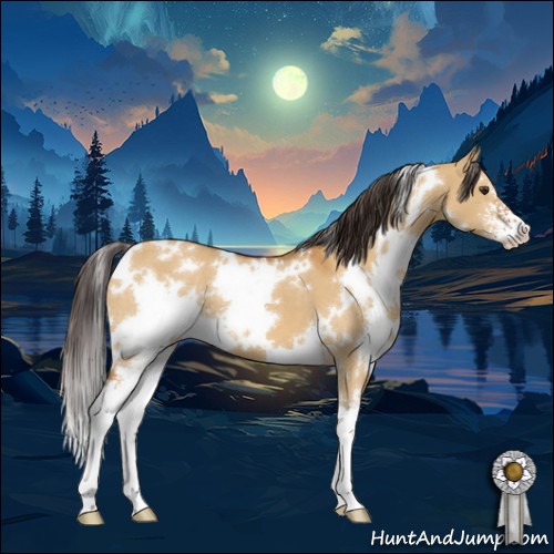 Horse Color:White Spotted Buckskin Dun Sabino 