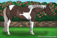Horse Color:Silver Brown Tobiano Rabicano