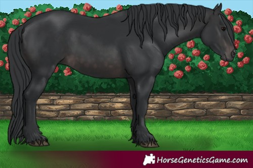 Horse Color:Platinum Brown