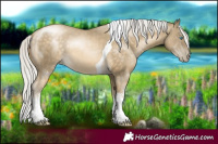 Horse Color:White Spotted Silver Buckskin Pearl Tobiano