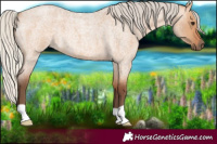 Horse Color:Silver Bay Roan Dun 