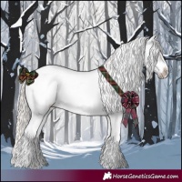Horse Color:Gray White Spotted Silver Black Splash Frame Appaloosa 