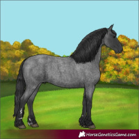 Horse Color:Blue Roan 