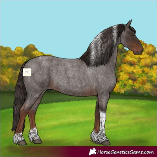 Horse Color:Liver Red Roan Tobiano