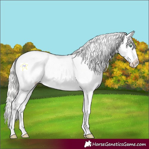 Horse Color:Silver Amber Cream Champagne Dun Near Leopard