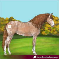 Horse Color:Chestnut Ice 