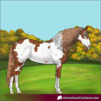 Horse Color:Chestnut Frame 