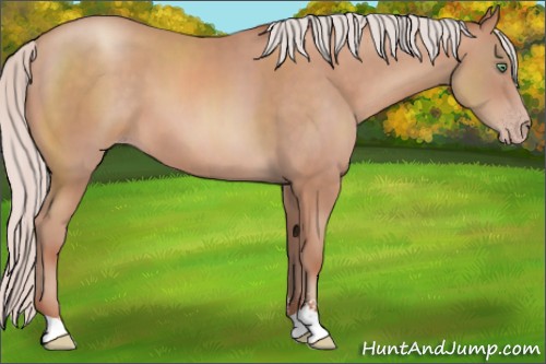 Horse Color:Silver Sable Champagne Sabino