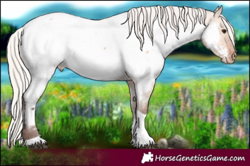 Horse Color:Silver Bay Dun Tobiano Near Fewspot