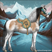 Horse Color:Gray White Spotted Bay Dun Tobiano 