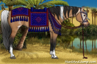 Horse Color:Gray White Spotted Bay Dun Tobiano 