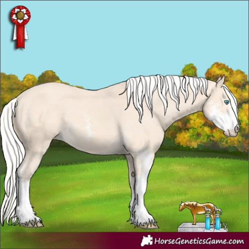 Horse Color:Silver Perlino Sabino Varnish 