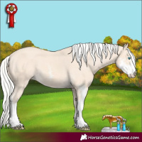 Horse Color:Silver Perlino Sabino Varnish 