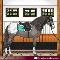 Horse Color:Grullo Snowcap 