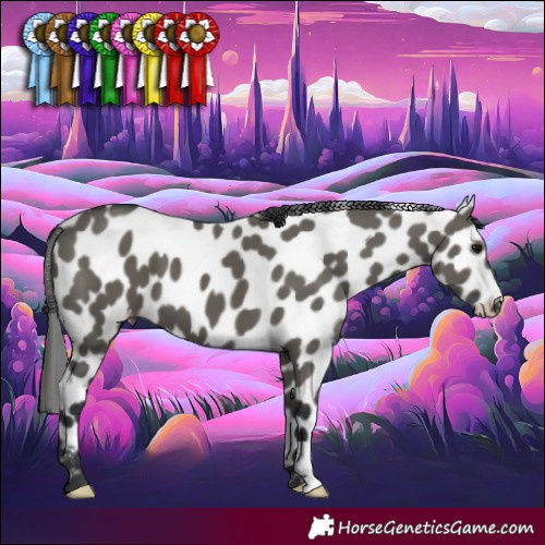 Horse Color:Grullo Leopard 