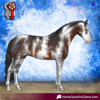 Horse Color:Brown Sabino