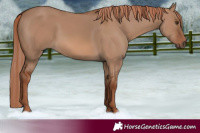 Horse Color:Red Dun 