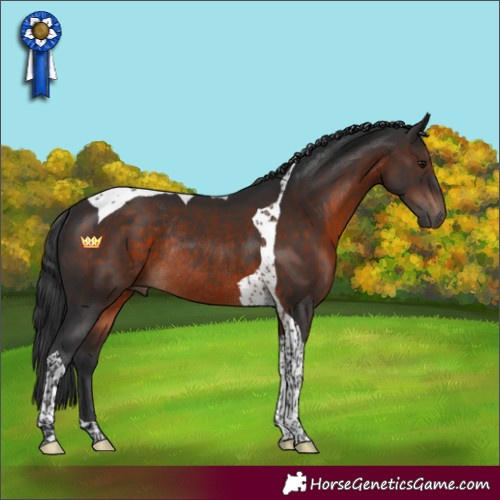 Horse Color:Brown Tobiano Rabicano 