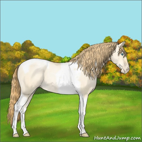 Horse Color:Smoky Grullo Pearl Tobiano 