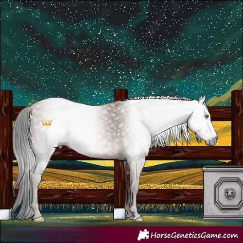 Horse Color:Gray Sable Champagne 