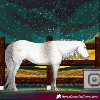 Horse Color:Gray Sable Champagne 