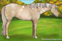 Horse Color:White Spotted Chocolate Palomino Pearl Sabino 