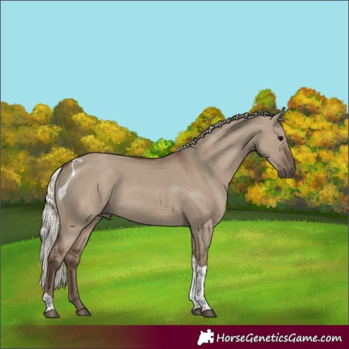 Horse Color:Silver Grullo Tobiano 