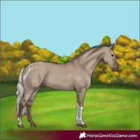 Horse Color:Silver Grullo Tobiano 