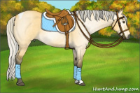 Horse Color:Gray Silver Buckskin Dun Tobiano