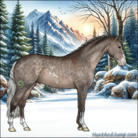 Horse Color:Silver Brown Dun Sabino 