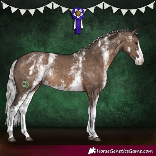 Horse Color:White Spotted Silver Brown Dun Sabino 