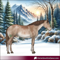 Horse Color:Grullo Pearl Tobiano Brindle 