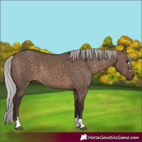 Horse Color:Silver Brown Dun
