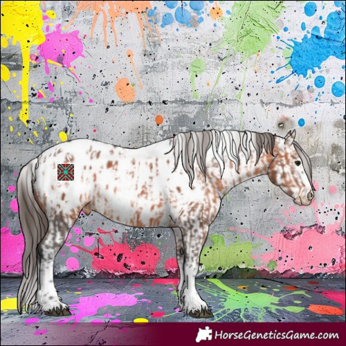 Horse Color:White Spotted Brown Tobiano Appaloosa  and White Spotted Bay Splash Appaloosa 