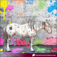 Horse Color:White Spotted Brown Tobiano Appaloosa  and White Spotted Bay Splash Appaloosa 